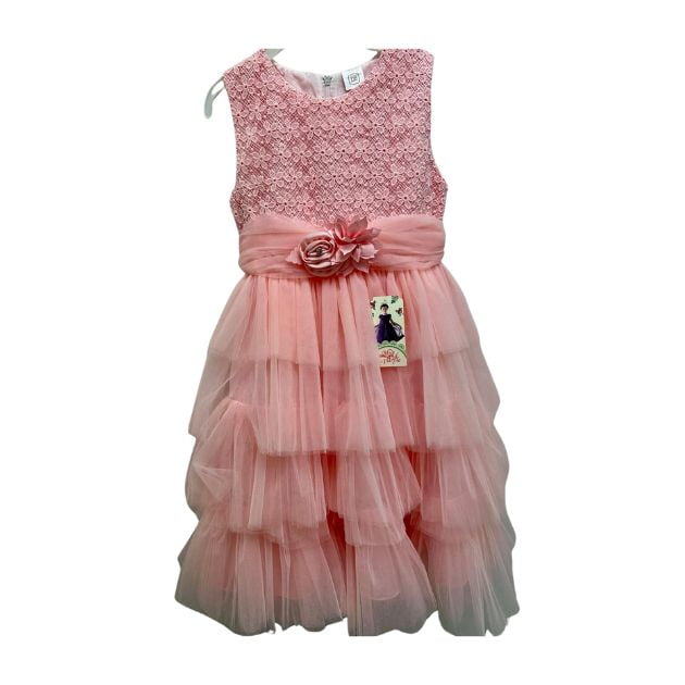 Petal Pink Lace and Tulle Dress
