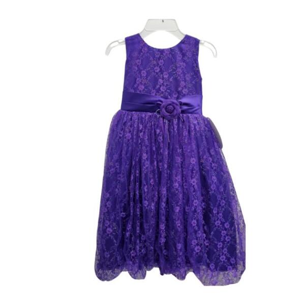 Elegant Purple Lace Dress